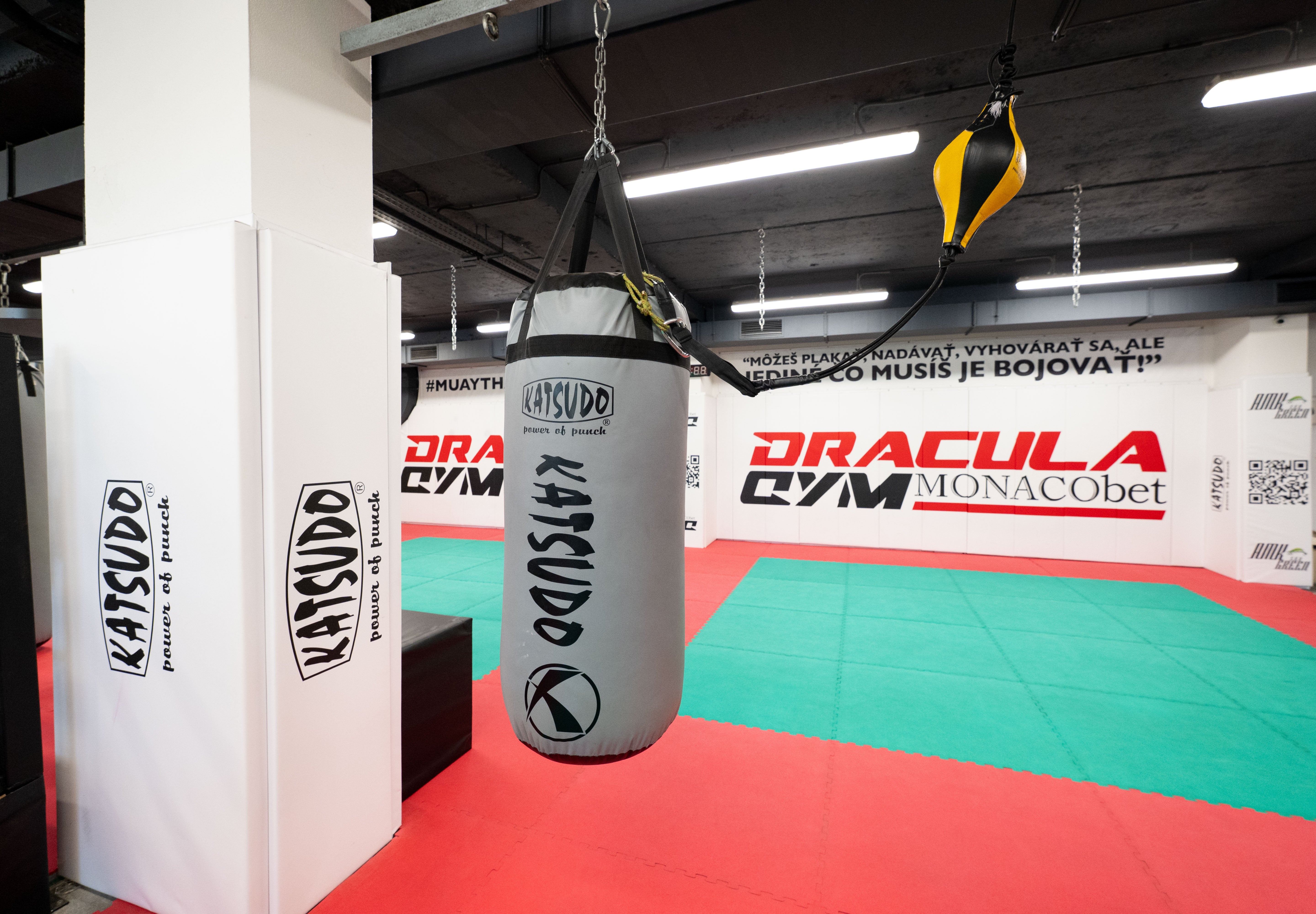 Katsudo боксова торба Big Boy Pro Boxing, сива