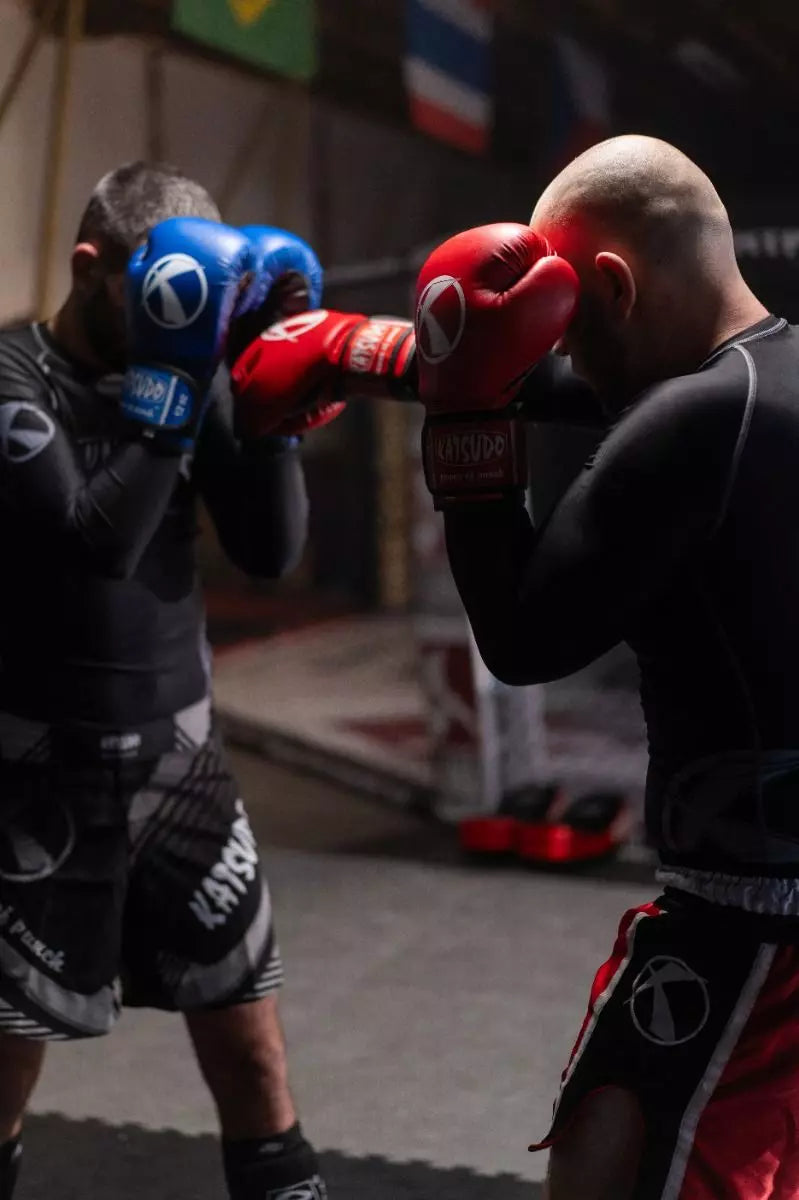 Katsudo боксови ръкавици Punch II, бели