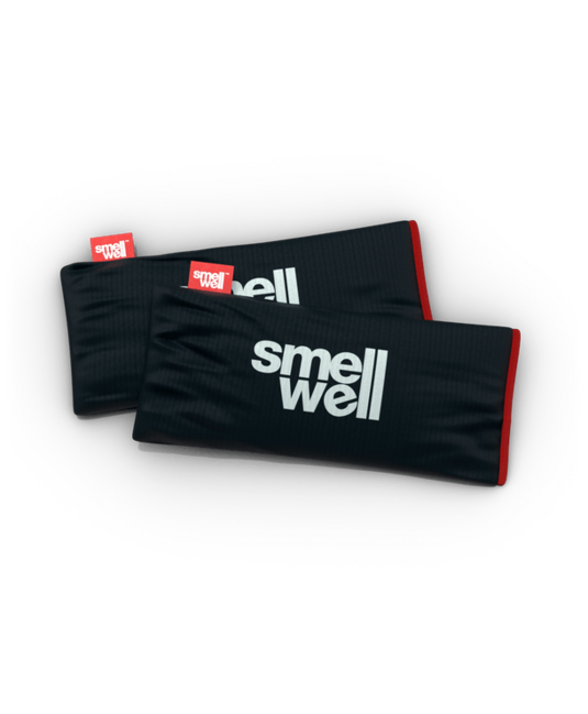 SmellWell Active XL многофункционален дезодоратор, Black Stone