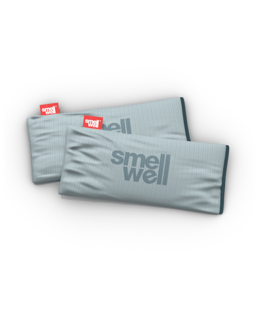 SmellWell Active XL многофункционален дезодоратор, сребристо сив